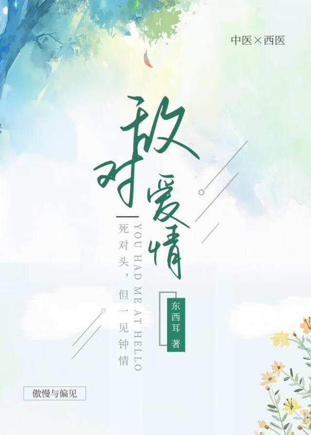 敌对爱情小说