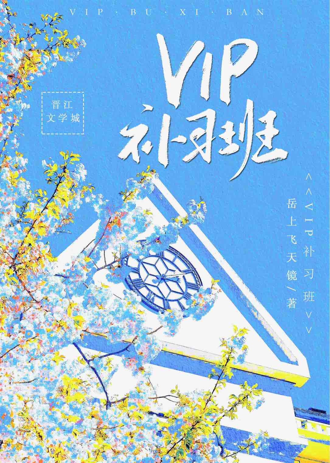 报vip班有什么好处