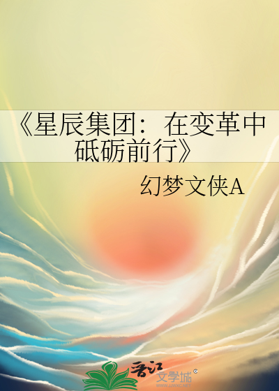 星辰集团有限公司介绍