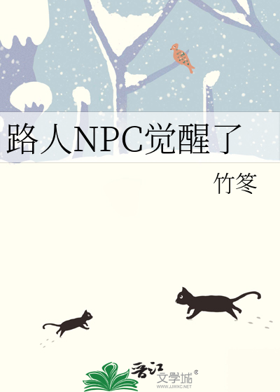 npc路人王