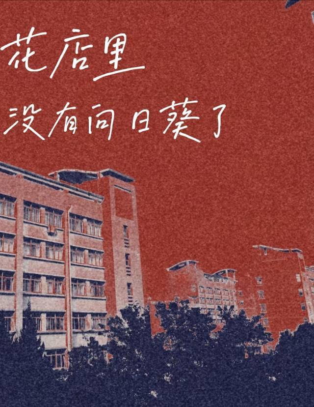 花店里没有向日葵了小说免费